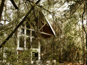 Lily & Luis' Elopement