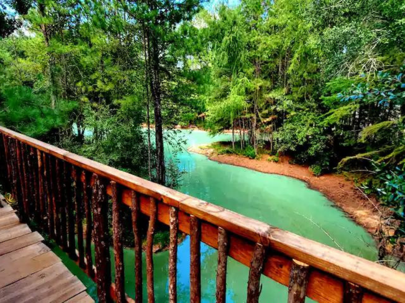 Magical Forest Resort
