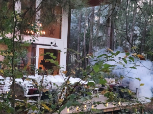 Magical Forest Resort