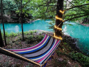 Magical Forest Resort