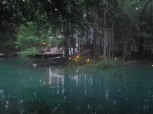 Magical Forest Resort